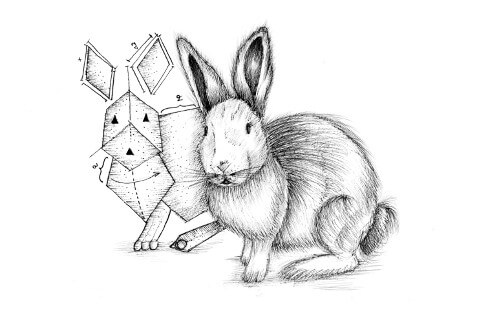 Ilustración de un conejo junto a su prototipo, una representación esquemática de un conejo